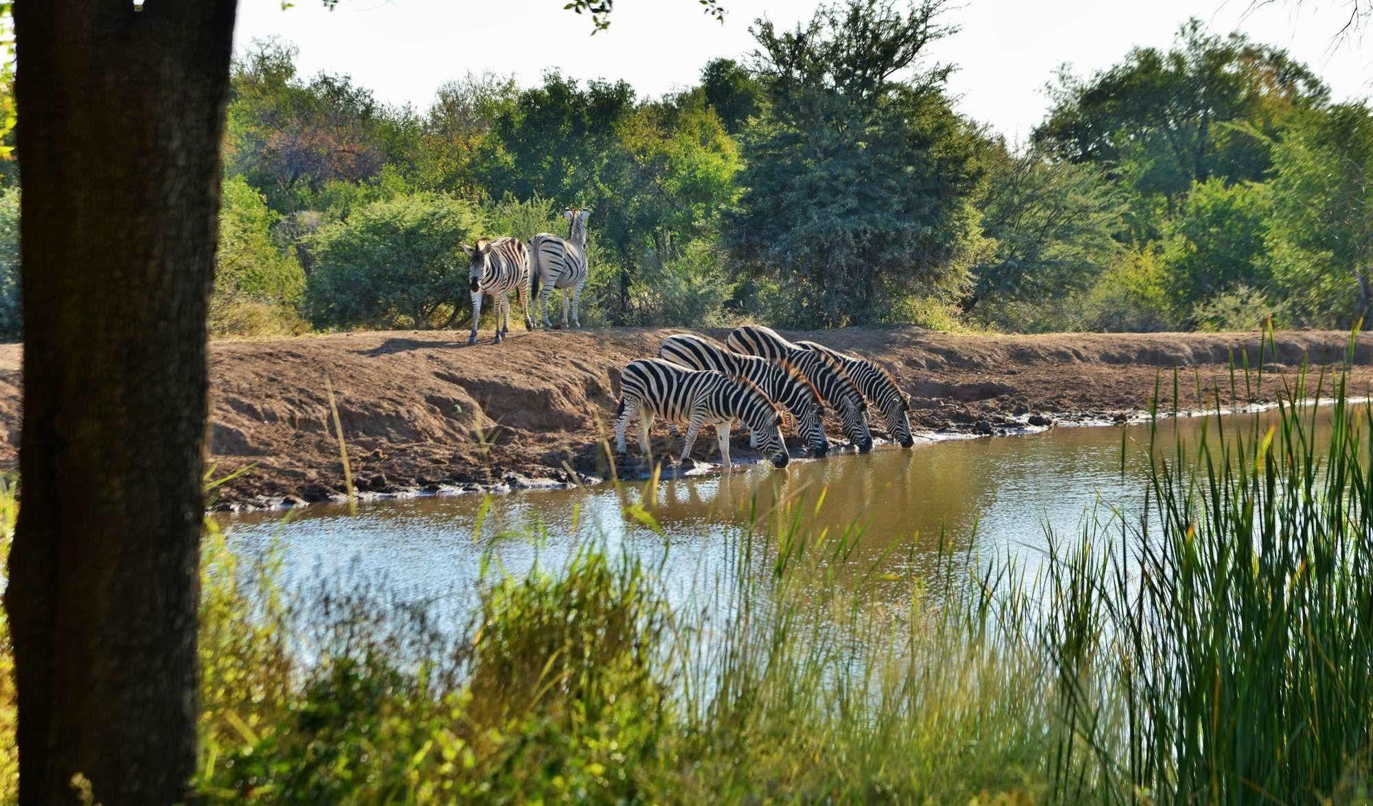 Black Rhino Game Lodge Ruighoek Mine 外观 照片