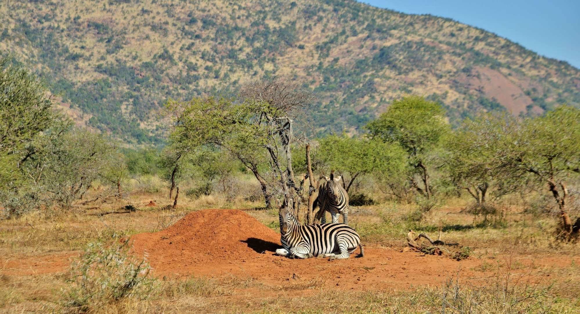 Black Rhino Game Lodge Ruighoek Mine 外观 照片